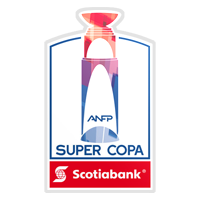 Chilean Super Cup