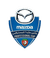 Oman Professional League Cup