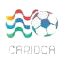 Brazilian Campeonato Carioca C