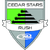 Cedar star